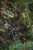 Костюм для охоты JahtiJakt Rosto Premium Camo 