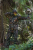 Костюм для охоты JahtiJakt Rosto Premium Camo 